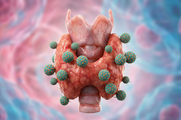 Euthyroid Sick Syndrome: When Illness Silently Suppresses Thyroid Function